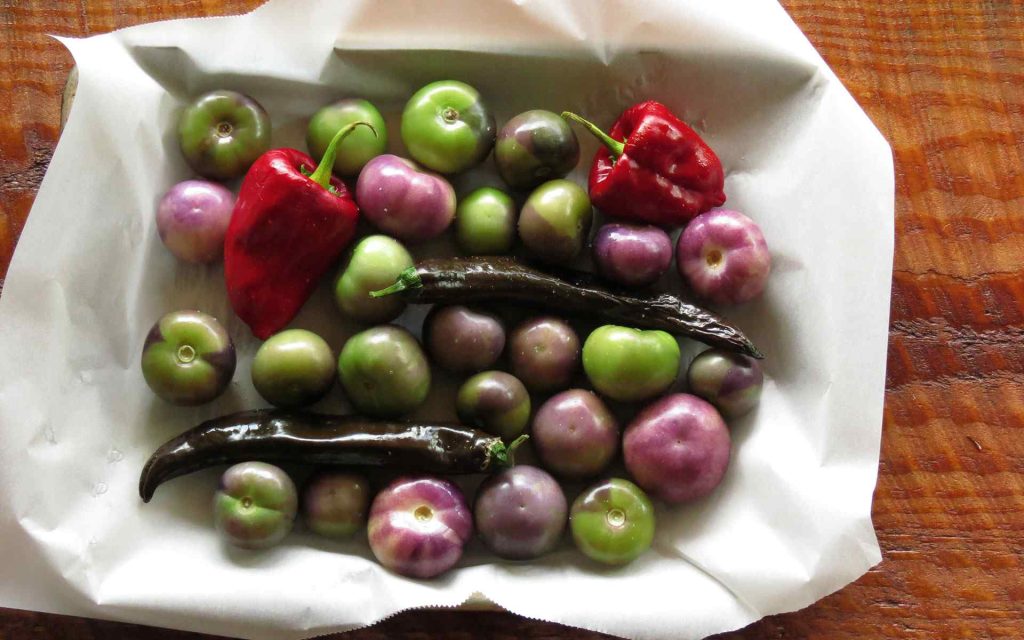 Modernizing the Grid